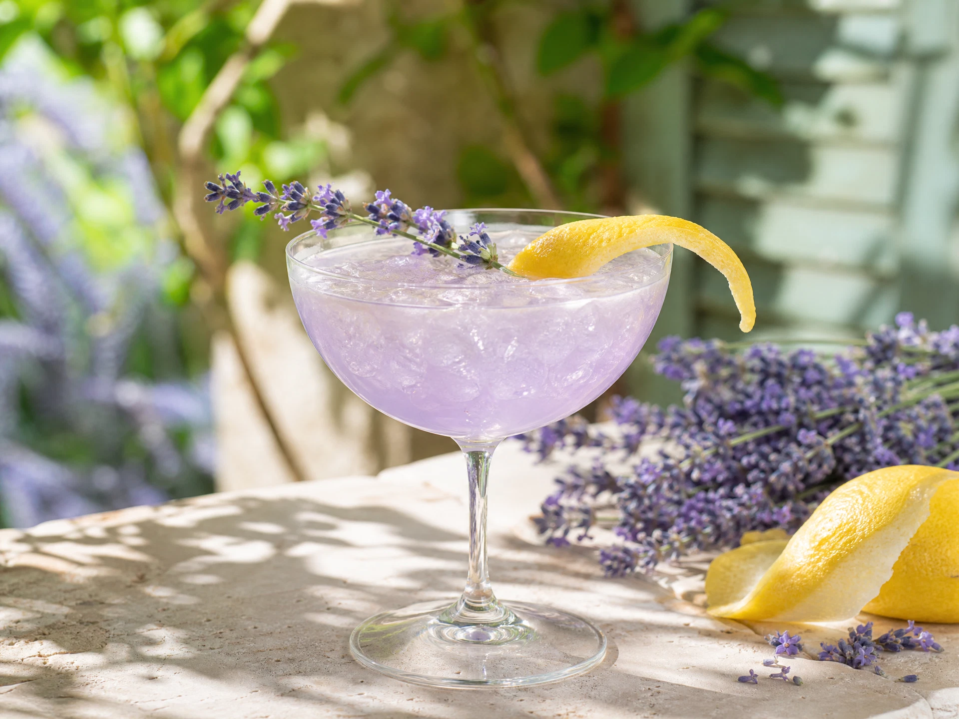 Provence Lavender — France